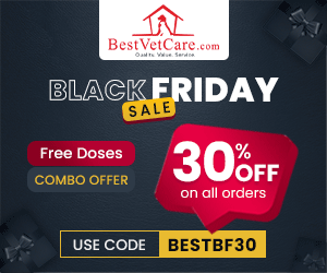 Crazy Black Friday Deals 2025 - 30% Off